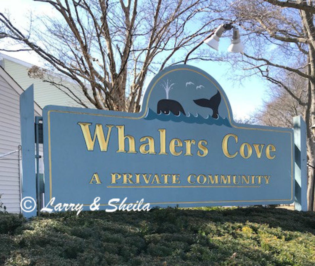 Whalers Cove in Babylon New York Suffolk Experts