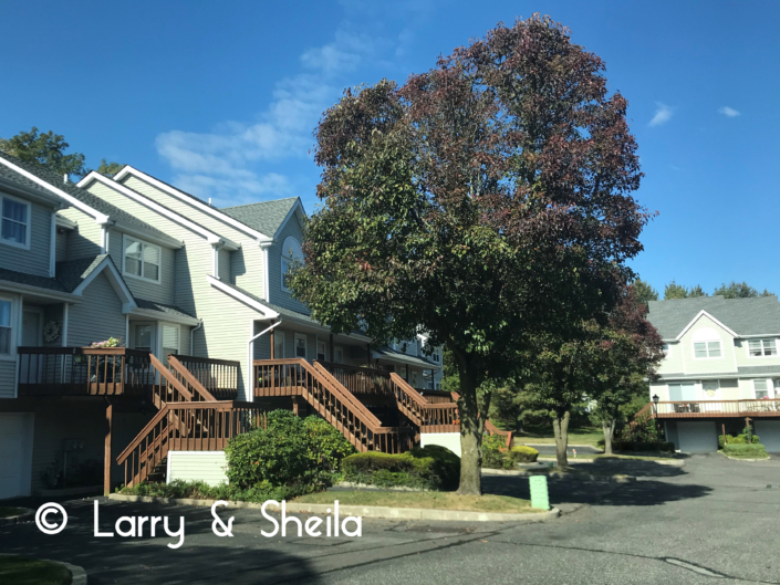 Highlands Condos At Port Jefferson New York Suffolk Experts